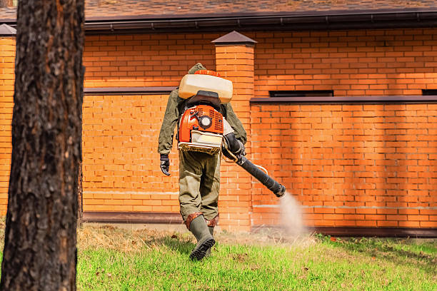 Bed Bug Clearance Verification and Documentation in Kill Devil Hills